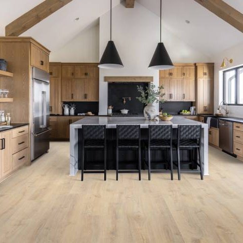 Vinyl Inspiration Gallery by Hoosier CarpetsPlus COLORTILE in Bloomington, IN