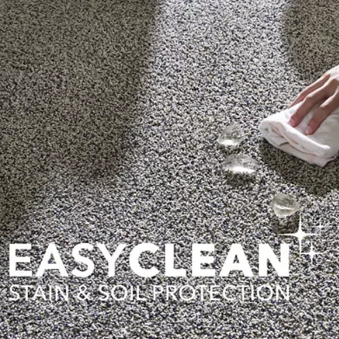 EasyClean®