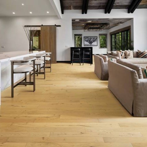 Get Inspired by Hoosier CarpetsPlus COLORTILE in Bloomington, IN - Hardwood Inspiration