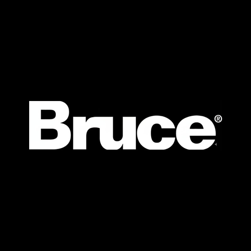 Bruce logo