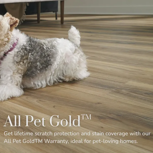 All Pet Gold lifetime scratch and stain warranty