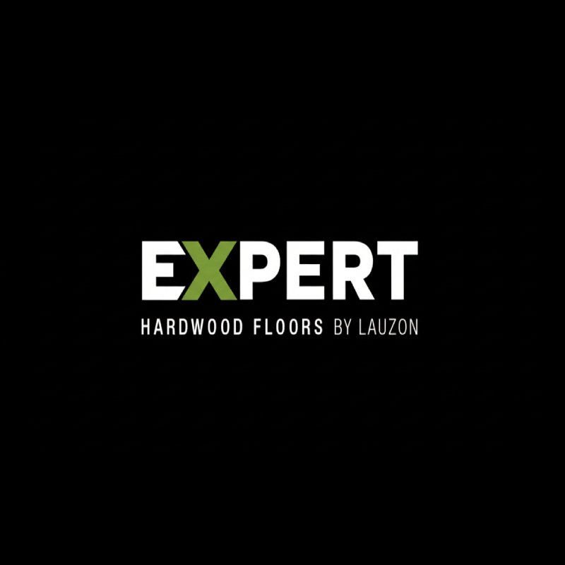 lauzon expert logo