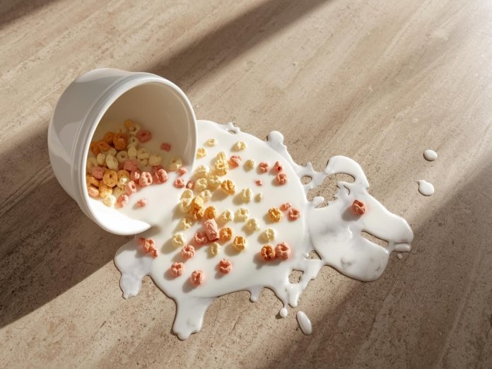 Dealing With Laminate Spills & Stains with Hoosier CarpetsPlus COLORTILE in Bloomington, IN