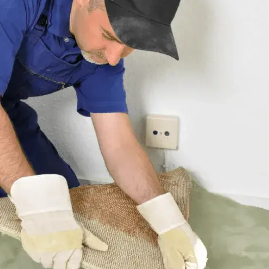 View Hoosier CarpetsPlus COLORTILE's team of experts