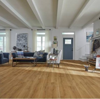 Get Inspired by Hoosier CarpetsPlus COLORTILE in Bloomington, IN - Laminate Inspiration