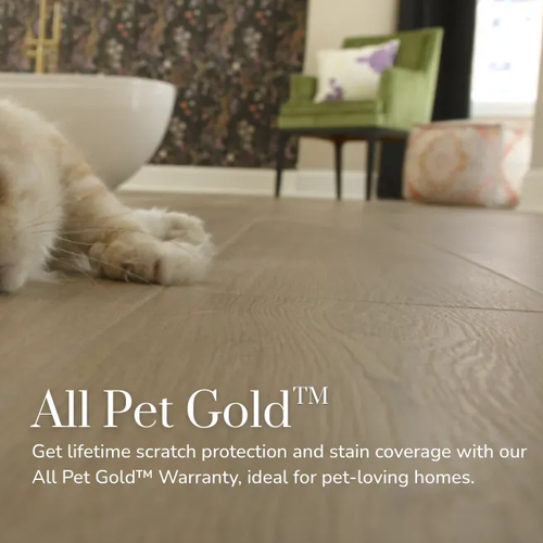 All Pet Gold lifetime scratch protection
